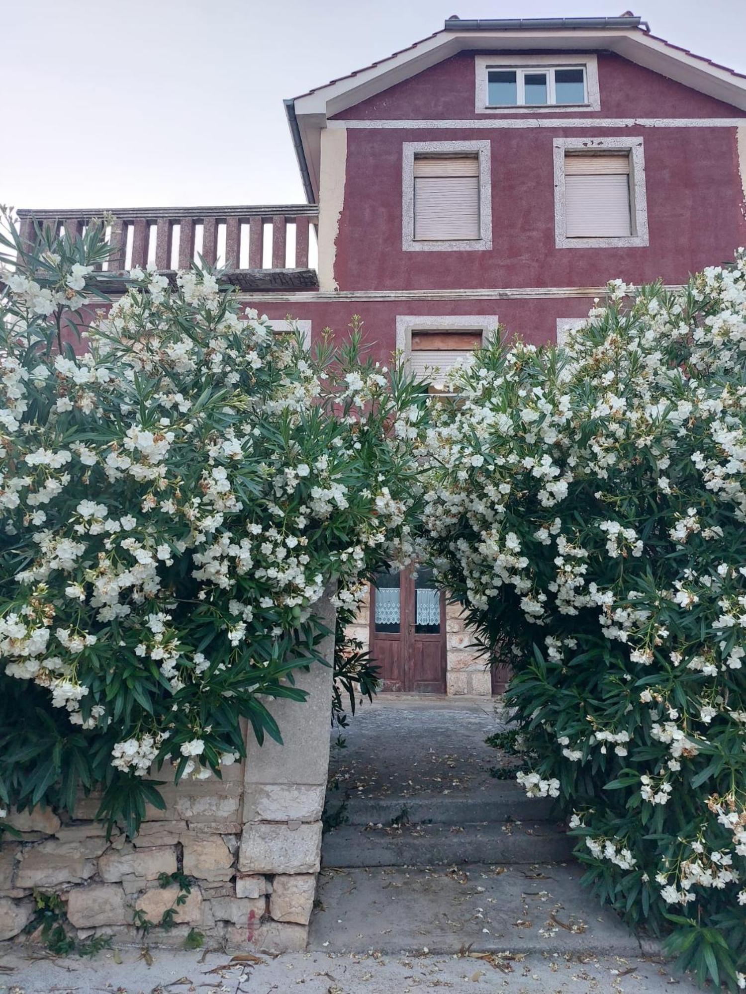 Apartment Bozava - Nena Dış mekan fotoğraf